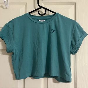 Gymshark Fraction Crop Top